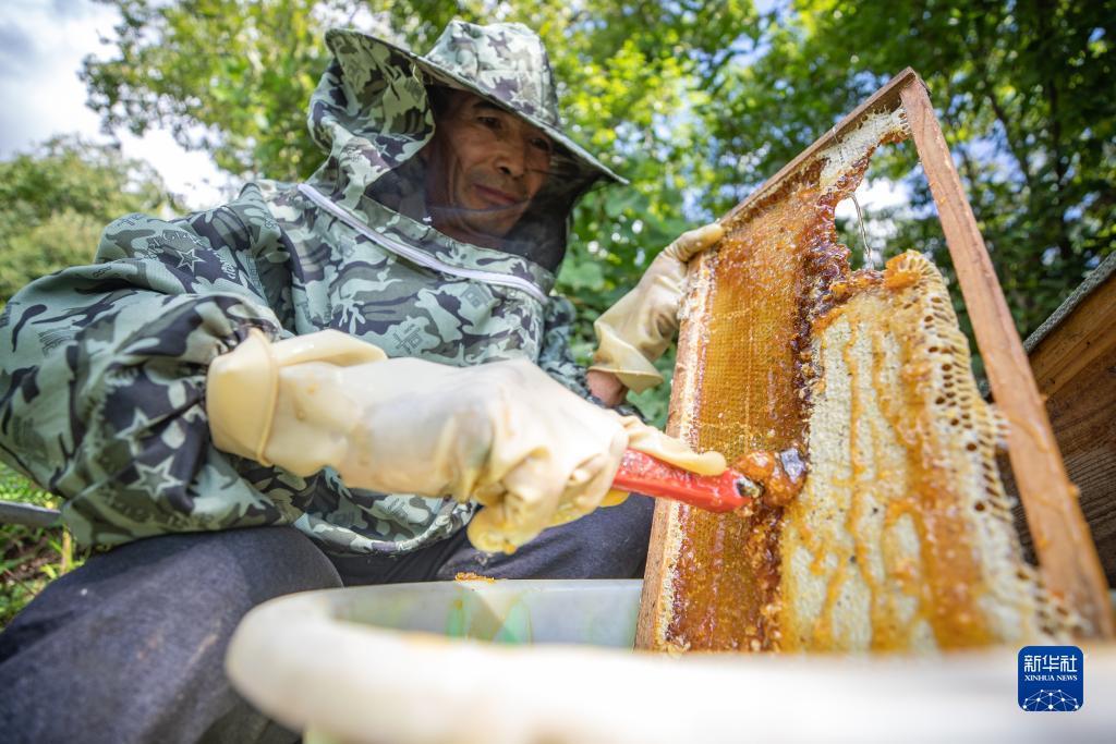 注册送388试玩金可提现